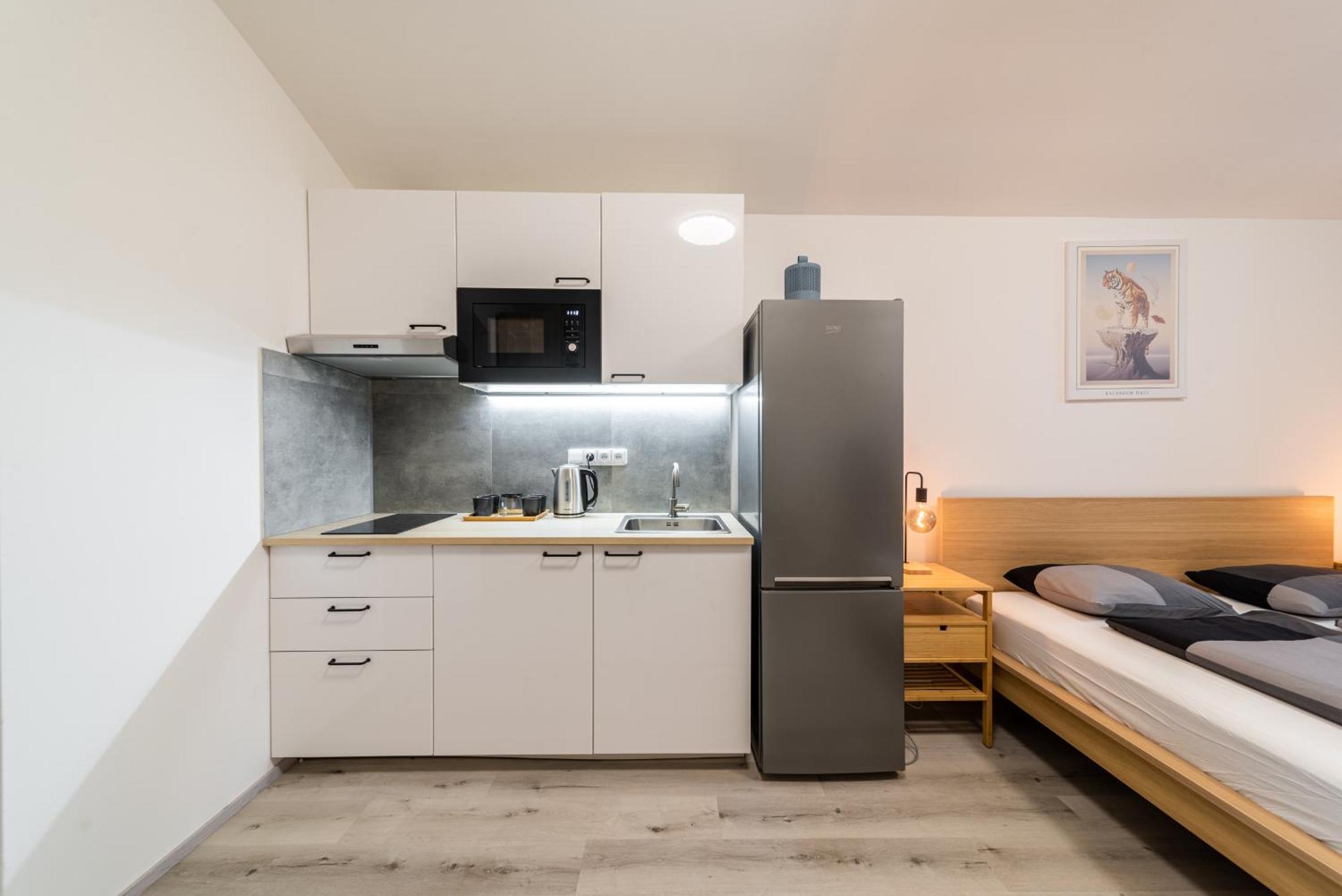 Borivojova 63 Lägenhet Prag