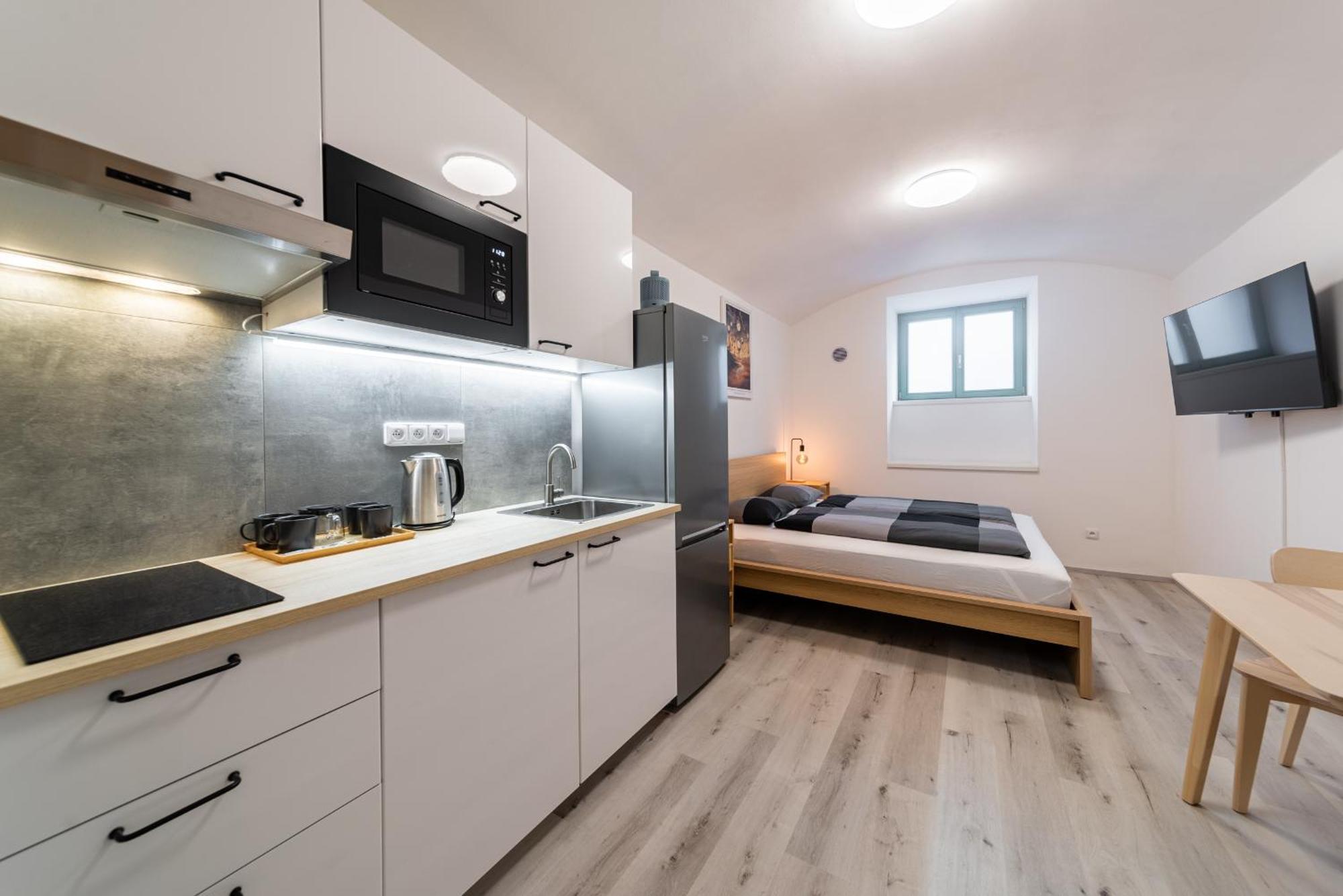 Lägenhet Borivojova 63 Prag